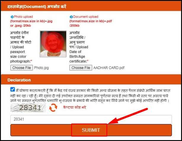 Upload Document and Final Submit Application form for UP Vridha Pension Online Apply